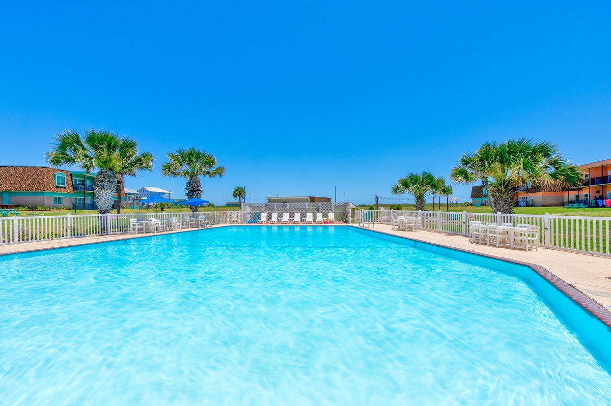 Sparkling pool surrounded by palm trees and white lounge chairs, perfect for your sunny getaway.