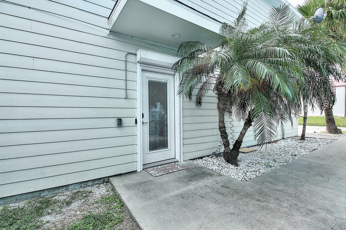 Modern property entrance featuring tropical palm landscaping and clean architectural lines in a welcoming residential setting.
