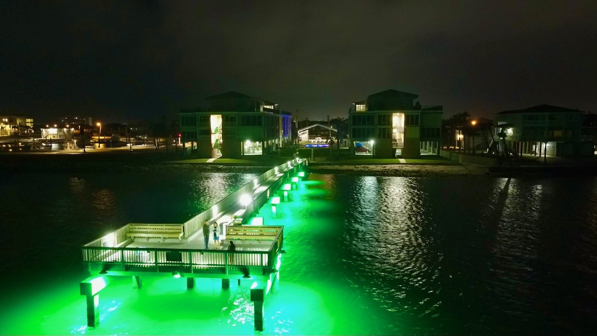 A stunning waterfront setting with illuminated pier and modern buildings creating a magical nighttime atmosphere.