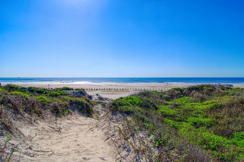 Pristine coastline with golden sand dunes and native vegetation leading to expansive beach under brilliant blue skies.