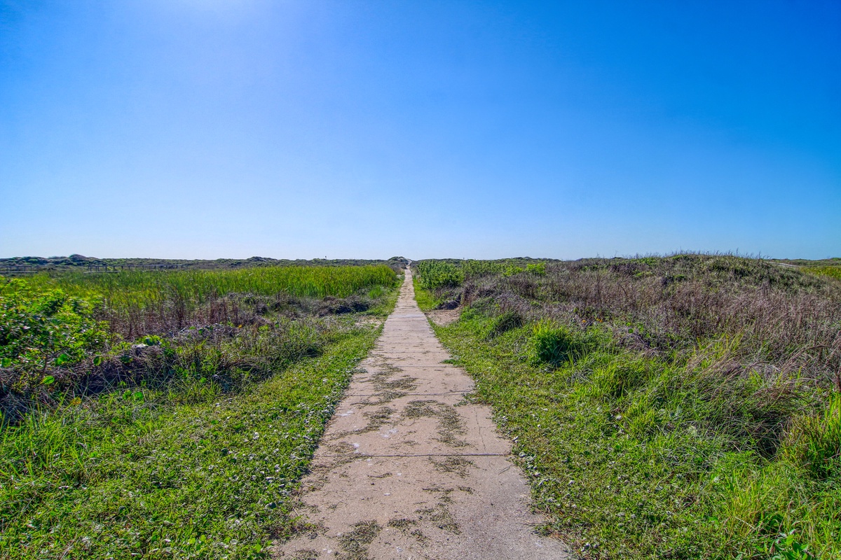 A scenic walking path winds through lush coastal vegetation under brilliant blue skies, perfect for nature exploration.