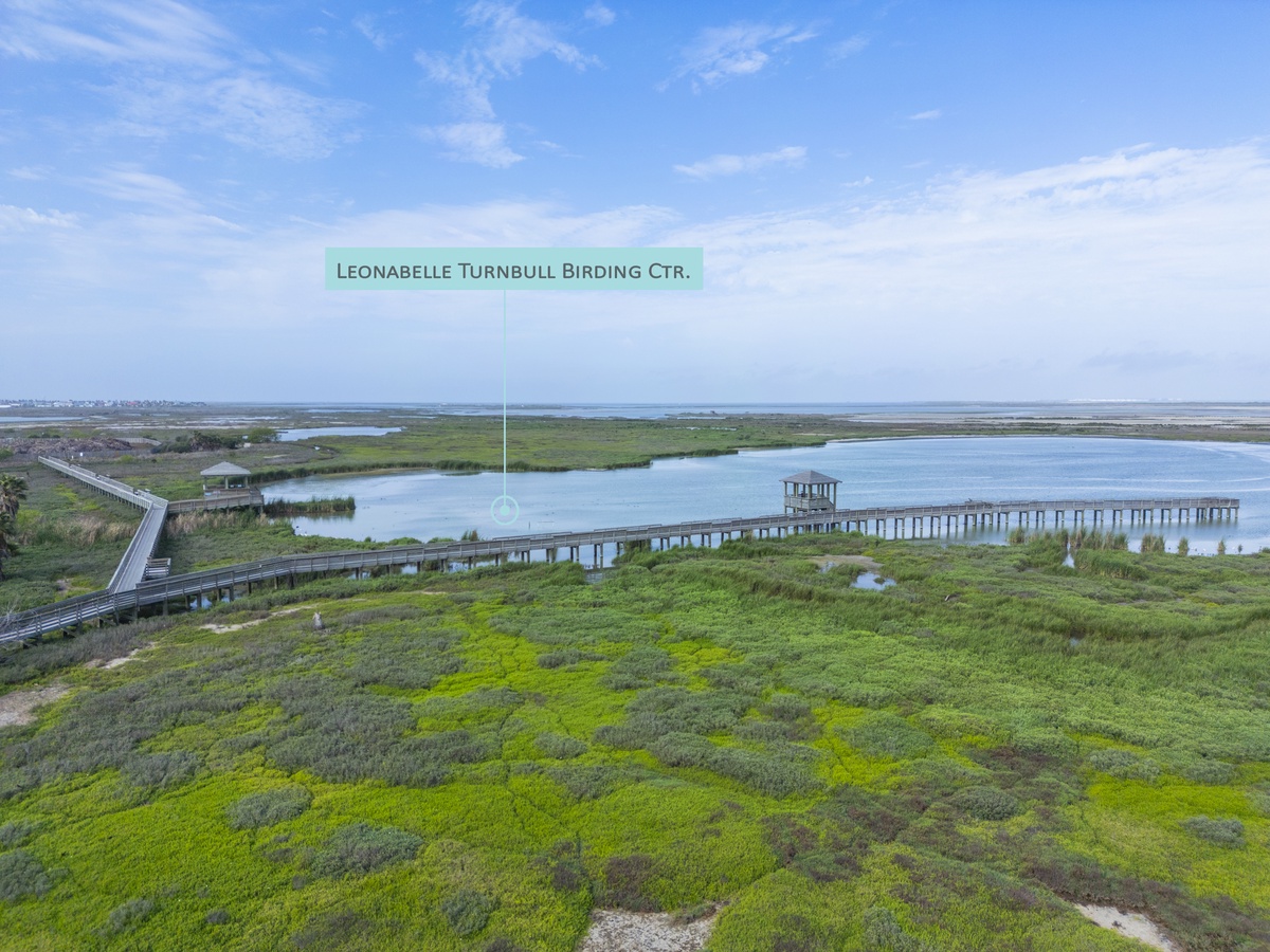 The Leonabelle Turnbull Birding Center offers excellent wildlife viewing opportunities along scenic boardwalks through pristine coastal wetlands.