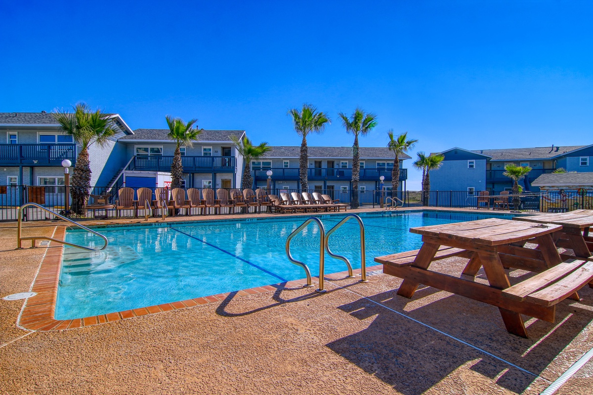 Resort-style swimming pool surrounded by palm trees and comfortable lounge chairs, with picnic tables for outdoor dining and relaxation.