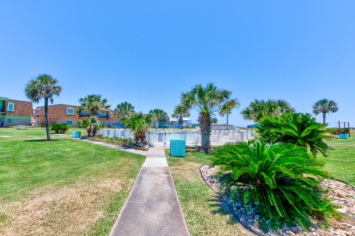 Tropical resort grounds feature lush palm trees, manicured lawns, and a sparkling pool area under clear blue skies.