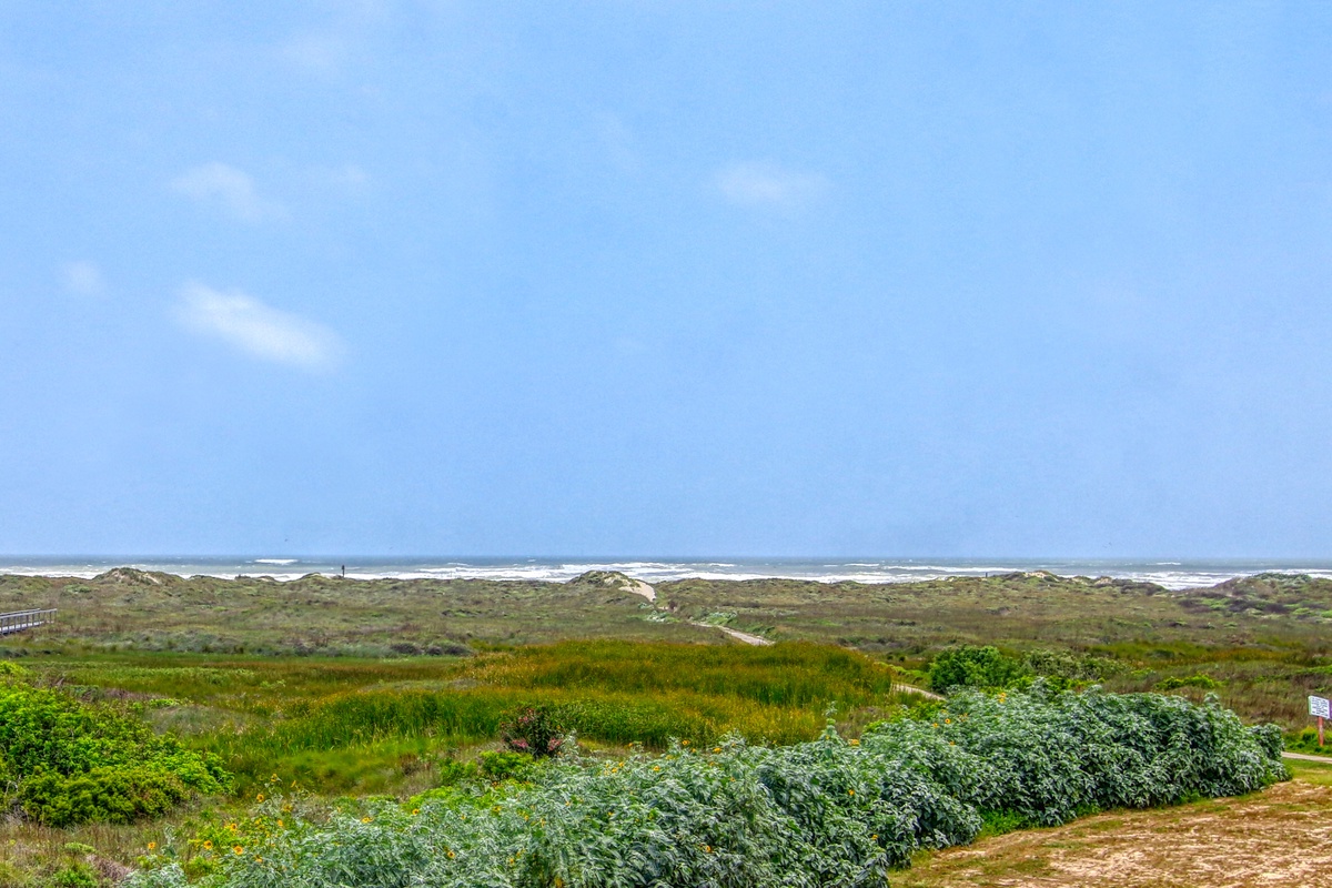 Scenic coastal landscape with rolling dunes and pristine ocean views creates a peaceful natural setting.