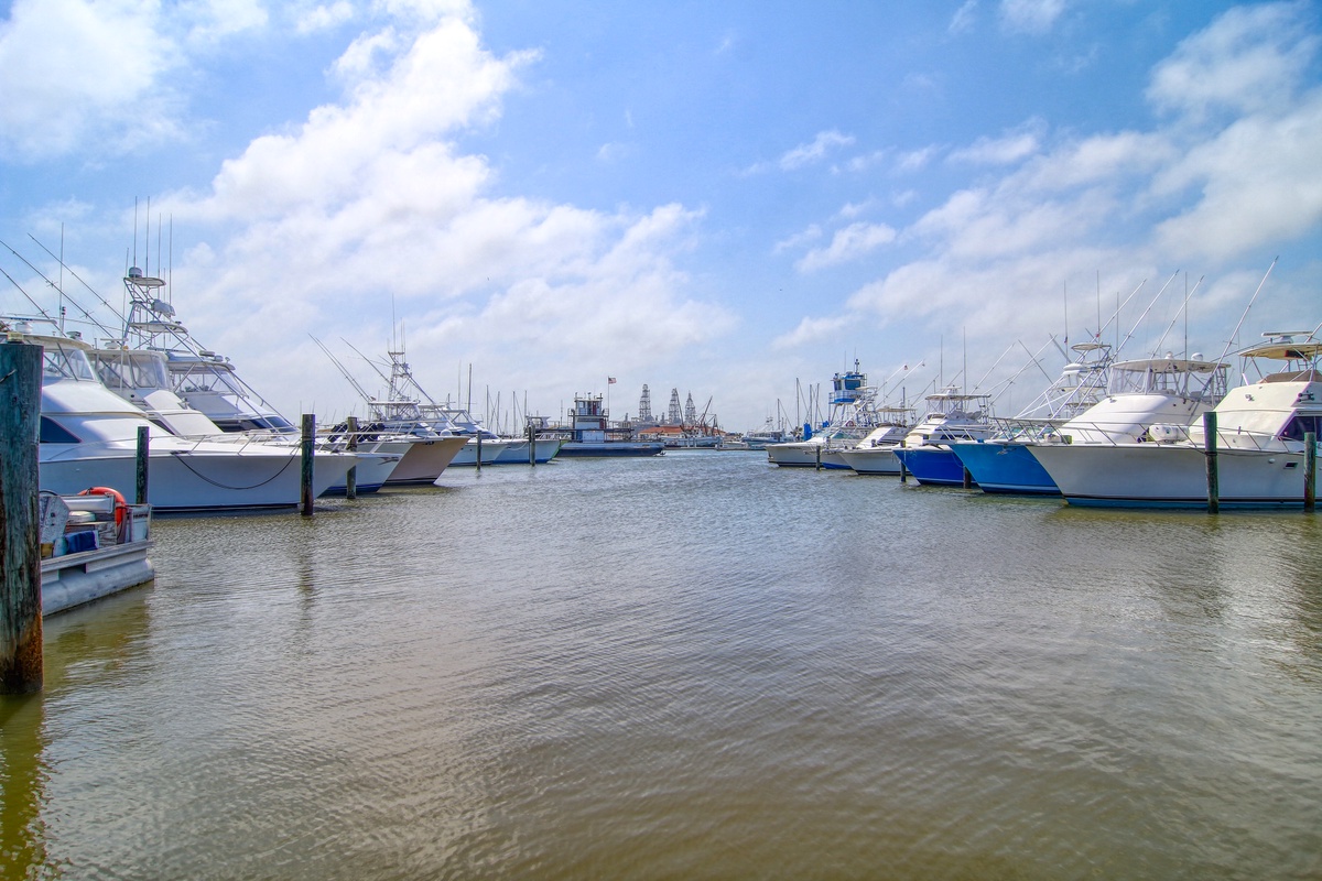 A bustling marina filled with fishing and recreational boats under bright blue skies, creating a vibrant waterfront atmosphere.