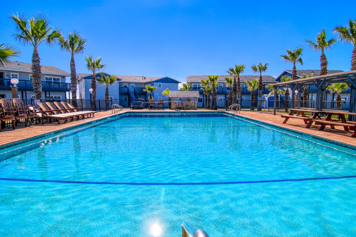 Sparkling pool surrounded by swaying palms awaits your tropical getaway under endless blue skies.