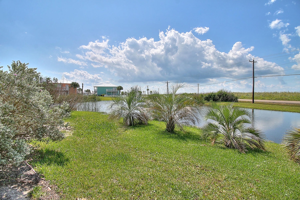 A peaceful waterfront property featuring landscaped grounds with palm trees and natural pond views in a quiet rural setting.