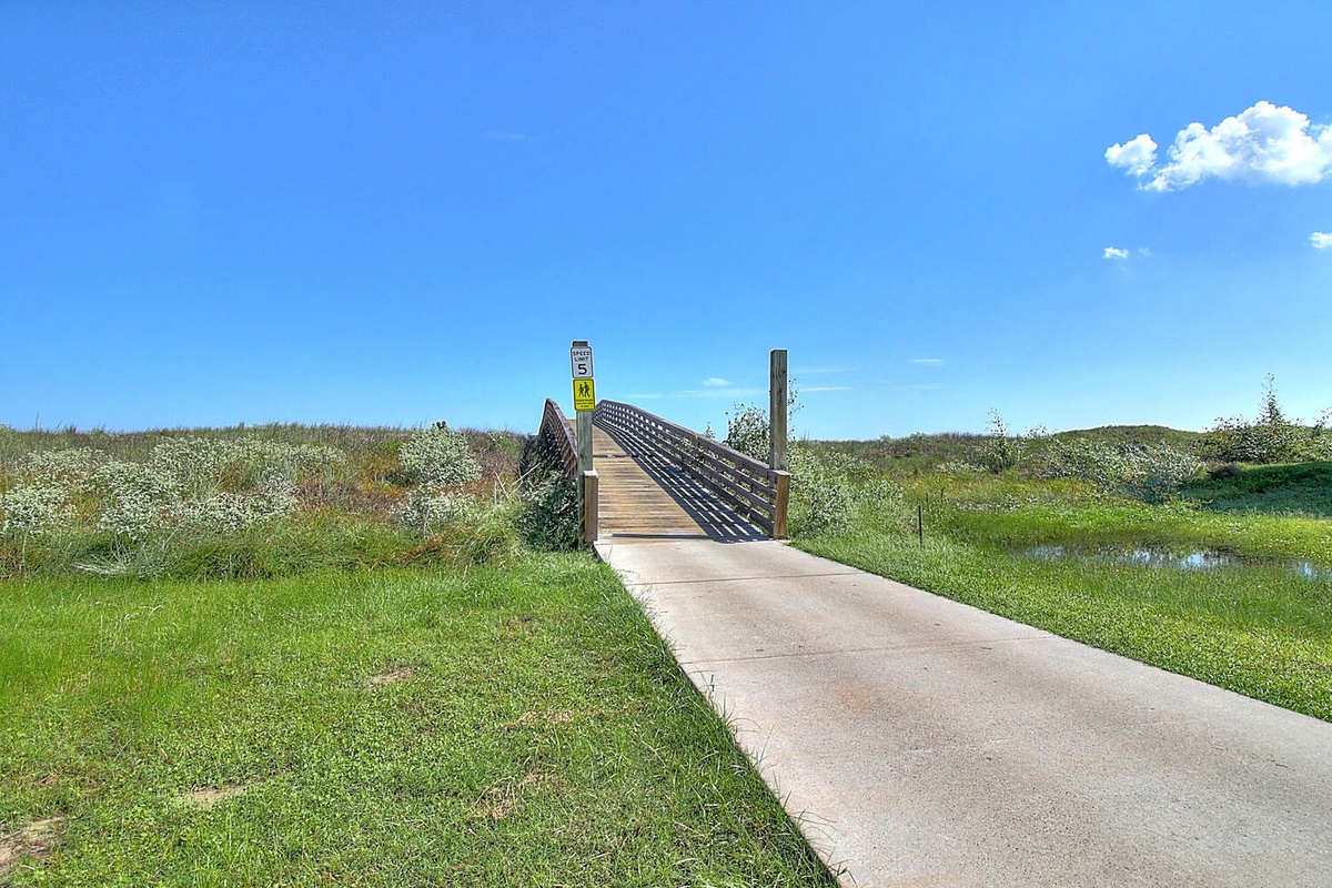 Peaceful walking trail leads through pristine natural wetlands with wooden bridge crossing and clear blue skies overhead.