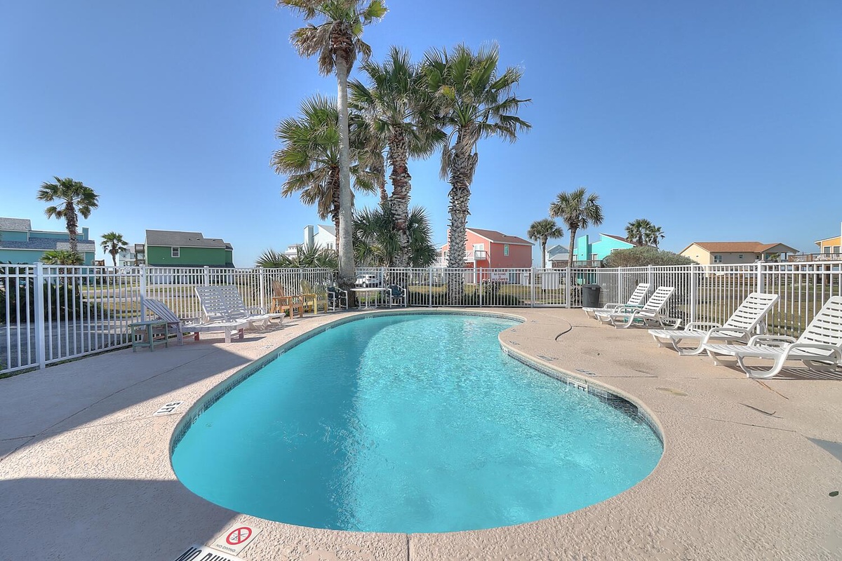 Sparkling pool surrounded by palm trees and loungers, creating the perfect tropical oasis for your sunny vacation days.