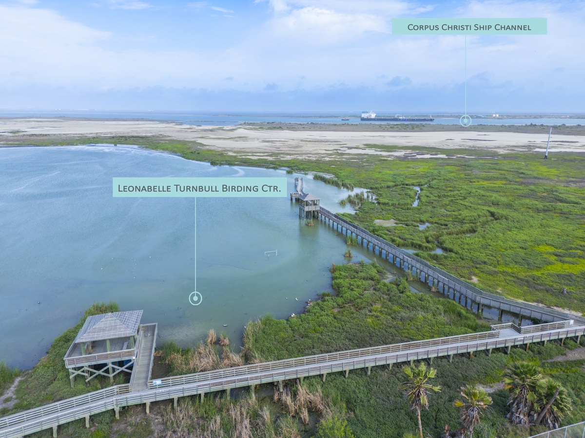 Aerial view of the stunning Leonabelle Turnbull Birding Center boardwalk stretching across pristine wetlands and the Corpus Christi Ship Channel in the distance.