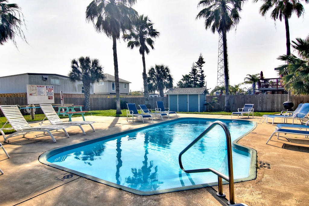 Dive into your private tropical oasis! Lounge poolside under swaying palms while soaking up the Florida sunshine in this peaceful backyard retreat.