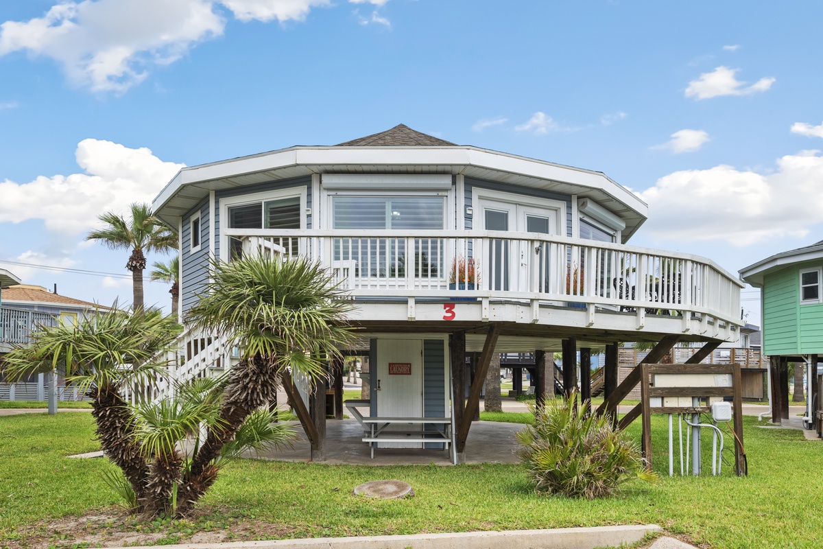 Elevated beachside retreat with wraparound deck and tropical palms creates the perfect coastal getaway.