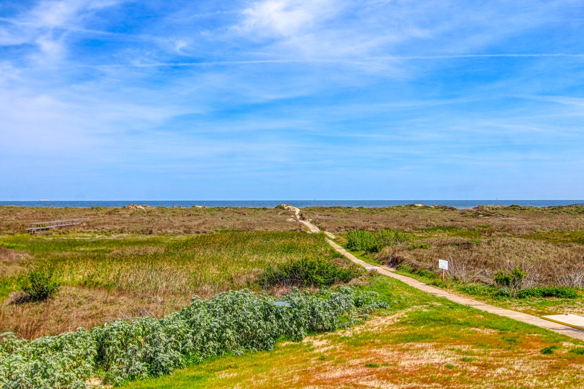 A scenic coastal boardwalk winds through natural dunes and vegetation toward the ocean horizon under bright blue skies.