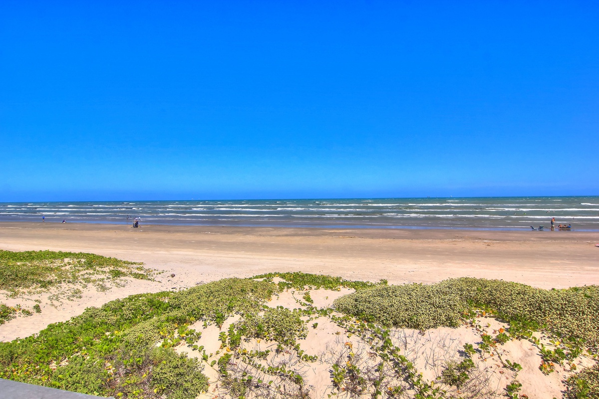 Expansive sandy coastline stretching along crystal-clear waters under brilliant blue skies, with natural dune vegetation creating peaceful coastal scenery.