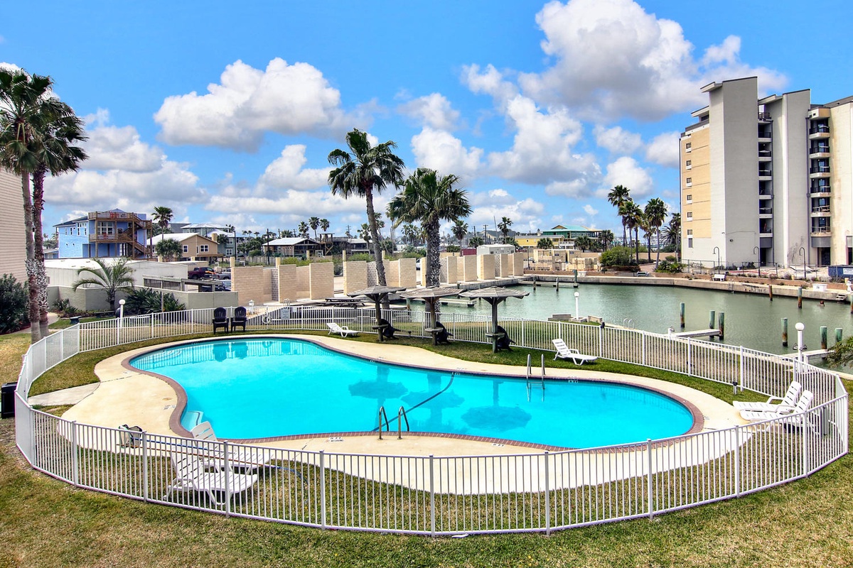 Sparkling kidney-shaped pool with waterfront views creates your perfect retreat, surrounded by tropical palms and peaceful canal scenery.