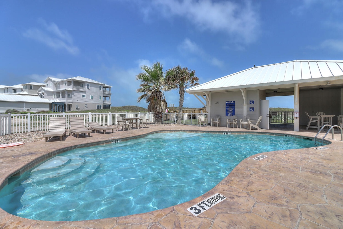 Sparkling pool area with tropical palms and comfortable seating where you can soak up the Florida sunshine.