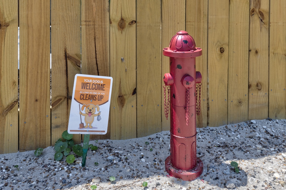 A welcoming pet-friendly space with convenient amenities for your furry companion's needs.