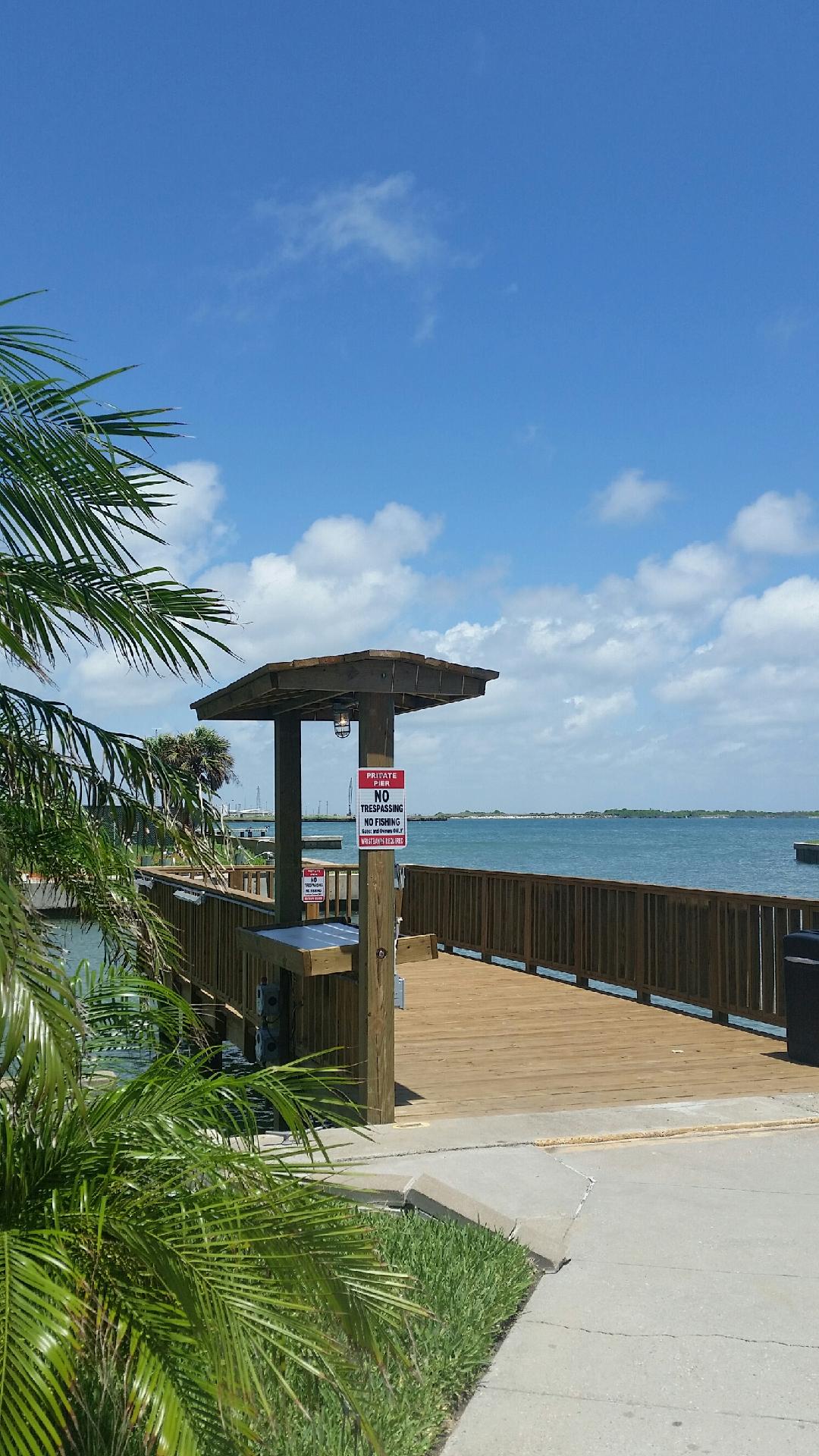 Waterfront pier with tropical palms leads to crystal clear waters under brilliant blue skies.