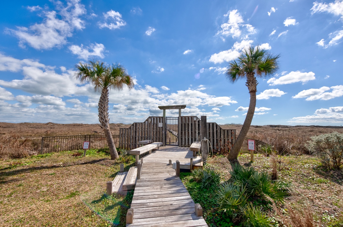 Wooden boardwalk winds through coastal dunes bordered by swaying palm trees under bright blue skies.