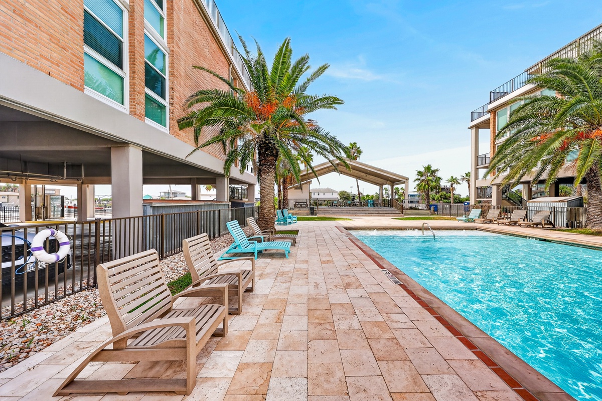 The property's pool deck is a sun-soaked retreat with tropical palms, ample loungers, and a sparkling pool under clear blue skies—perfect for relaxing between beach adventures.