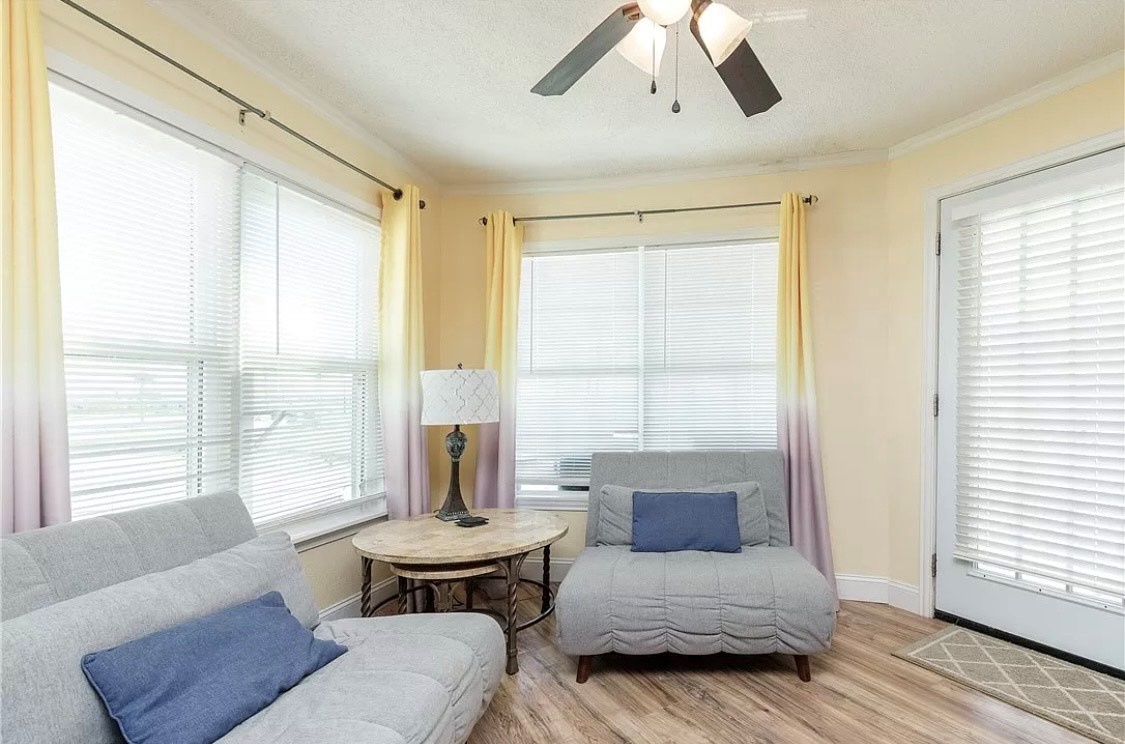 Relax in your bright living space with comfortable seating and gentle natural light streaming through multiple windows.
