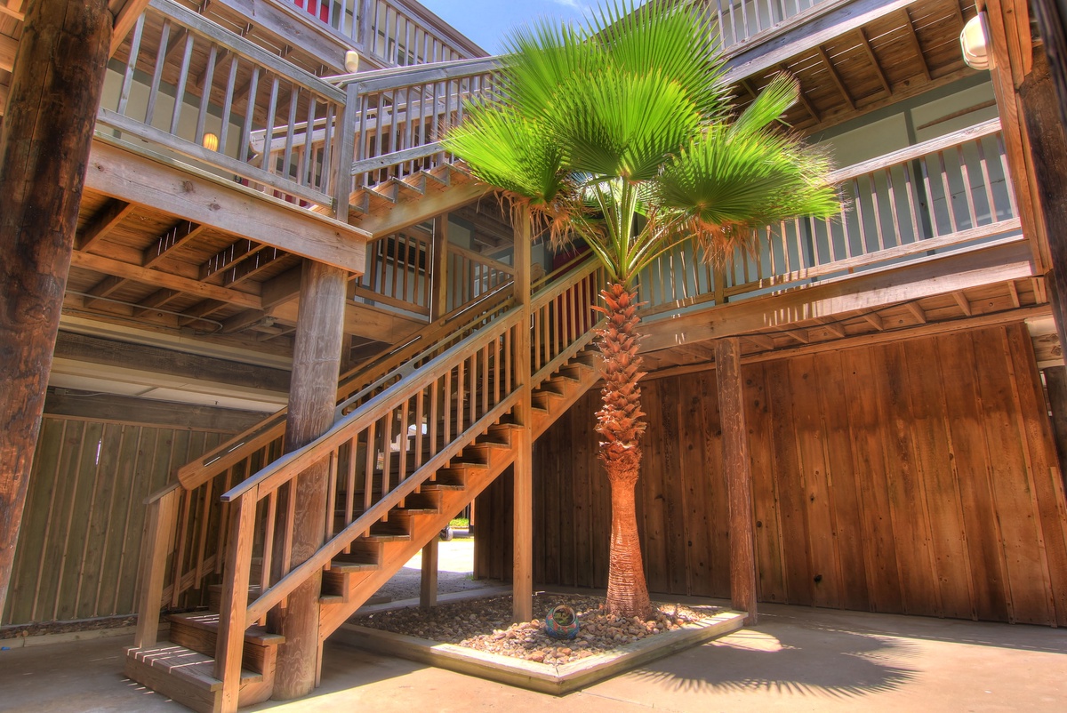 A stunning tropical courtyard welcomes you with its dramatic palm tree centerpiece and warm wooden balconies creating the perfect island retreat atmosphere.
