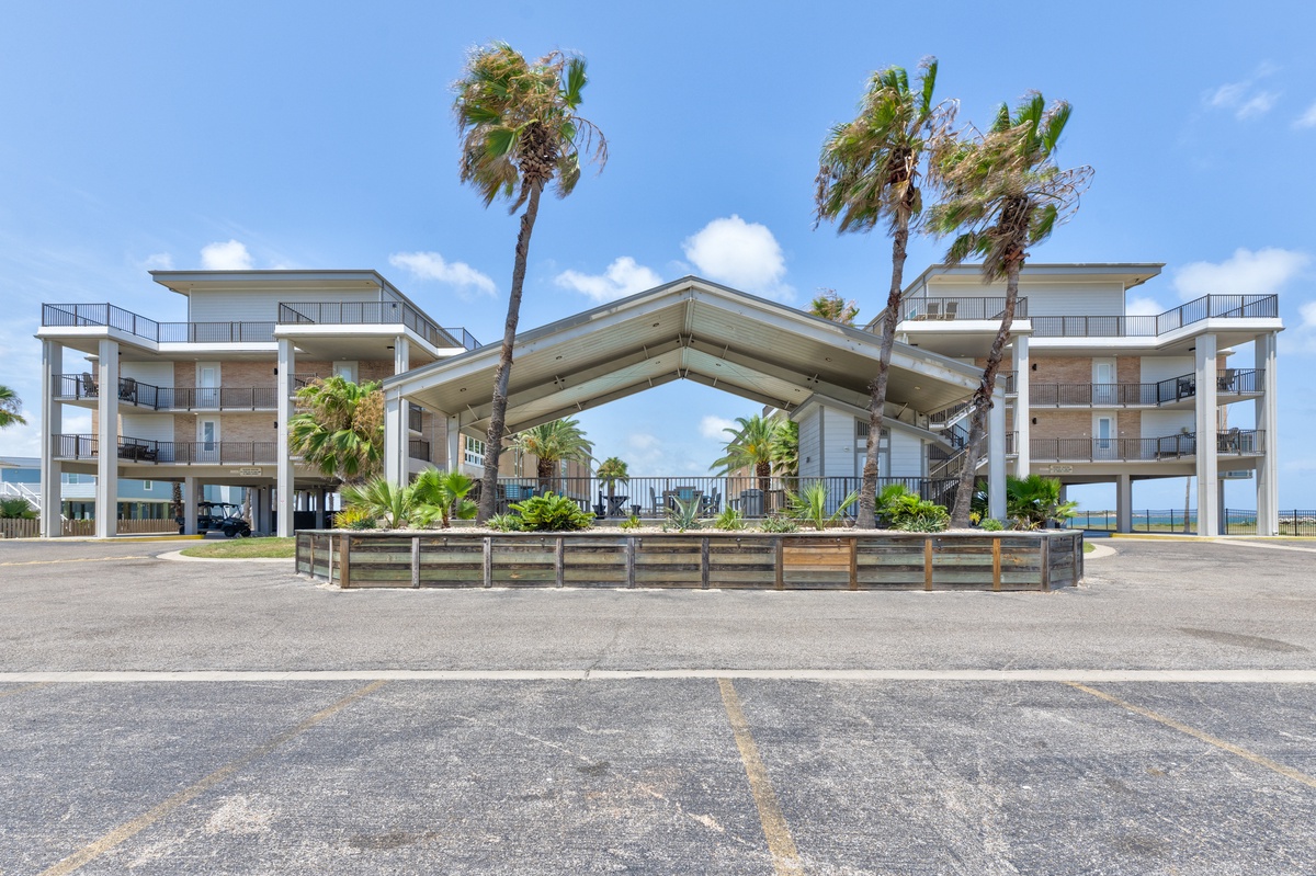 Modern beachfront property with striking architectural entrance featuring swaying palm trees and tropical landscaping in a prime coastal location.