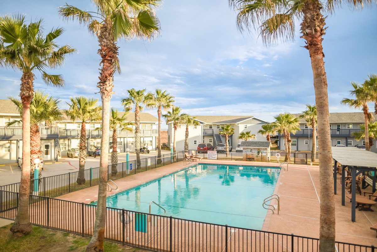 A tropical resort setting with sparkling pool surrounded by swaying palm trees and comfortable accommodations.