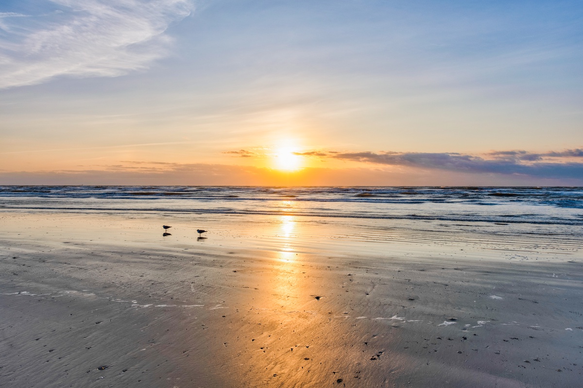 Stunning sunset over pristine sandy beach with gentle waves and seabirds creating a peaceful coastal scene.