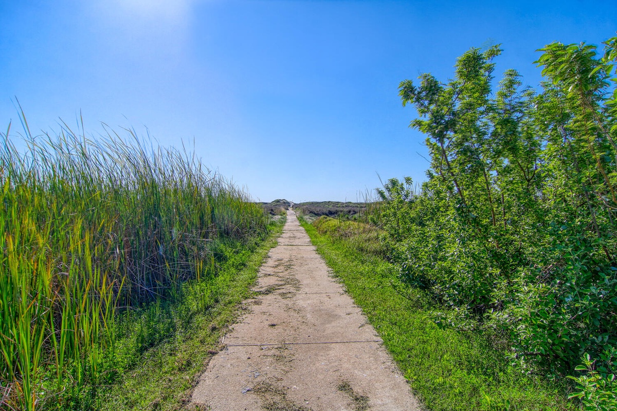 A scenic pathway winds through lush coastal vegetation under brilliant blue skies, perfect for nature walks and exploration.