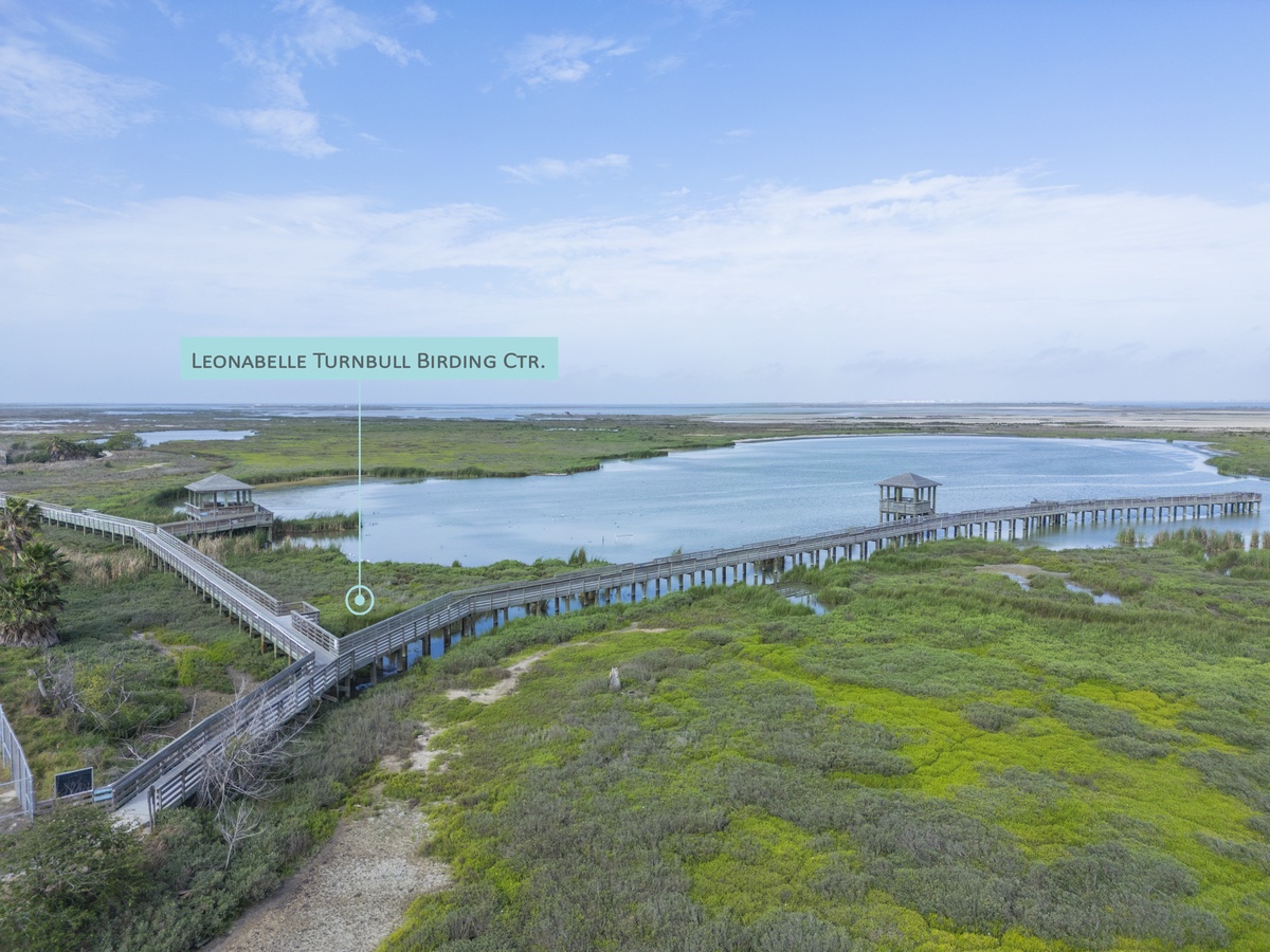 Aerial view of Leonabelle Turnbull Birding Center, featuring elevated boardwalks winding through pristine coastal wetlands and marshes.