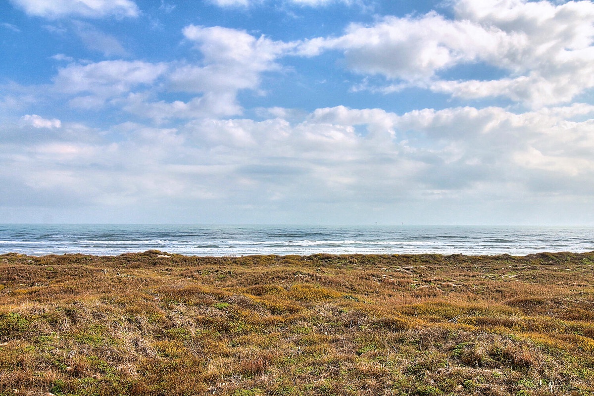 Dramatic coastal landscape with rolling dunes and endless ocean views under a magnificent cloudy sky.
