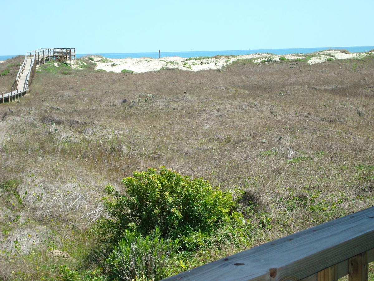 Coastal dunes and sandy beach view from your balcony.