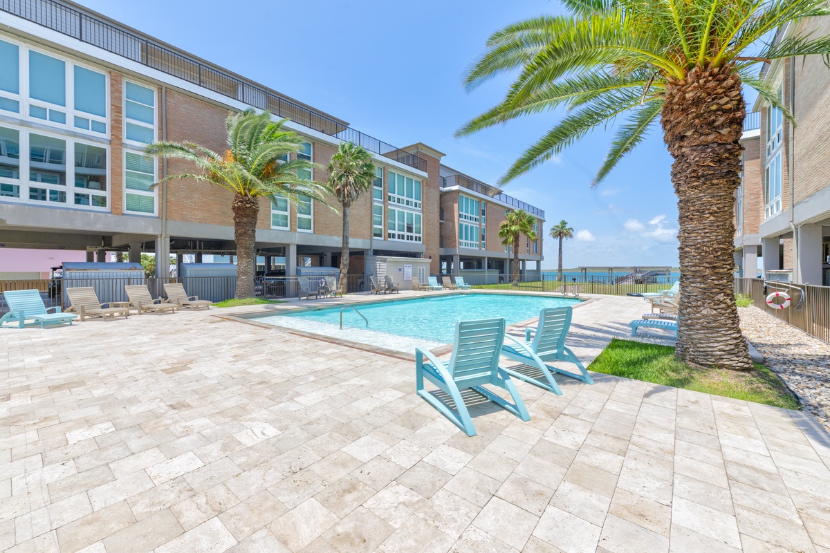 Modern waterfront resort featuring a pristine swimming pool surrounded by palm trees and contemporary architecture.