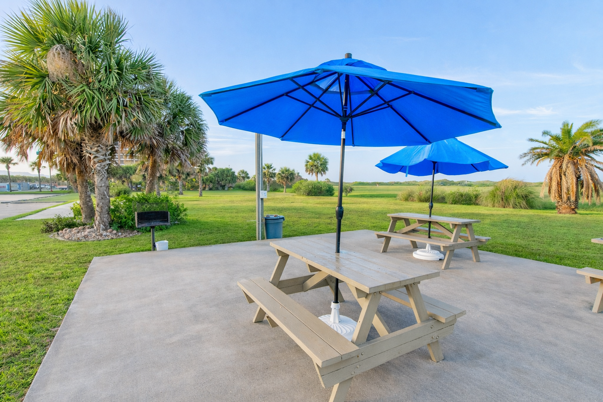 Outdoor dining area with picnic tables and umbrellas surrounded by palm trees and open green space.