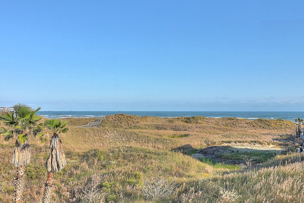 Coastal dunes with native vegetation create a natural buffer between the property area and the ocean beyond.