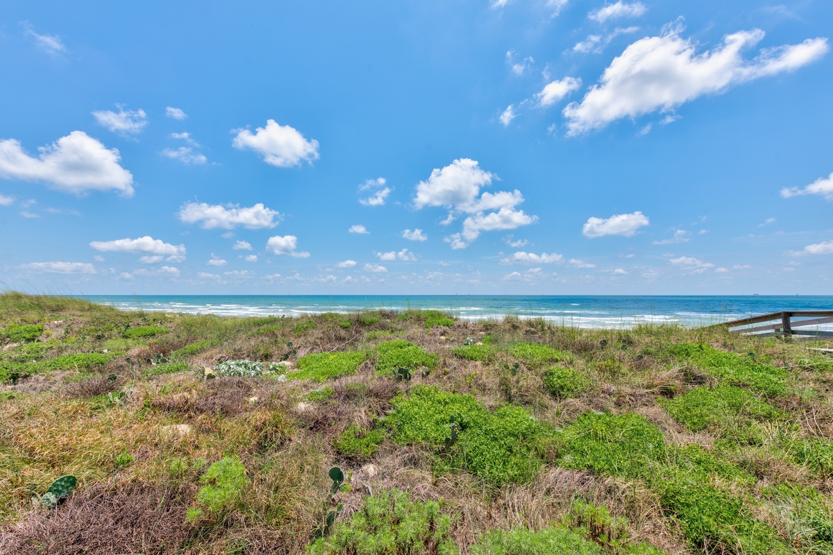 Stunning coastal dunes stretch toward pristine ocean waves under endless blue skies and fluffy white clouds.