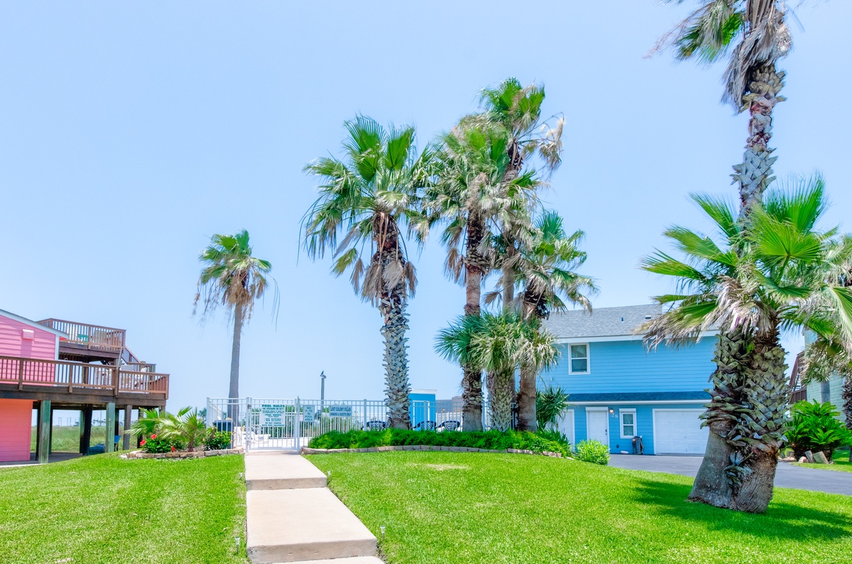 Tropical coastal neighborhood with palm-lined streets and colorful beach houses creating a relaxed seaside atmosphere.