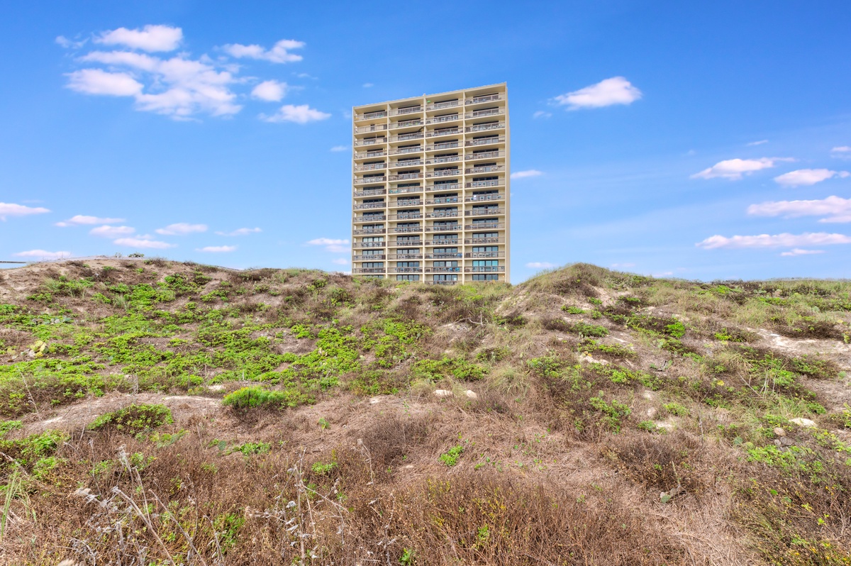 Beachfront high-rise building surrounded by natural coastal dunes and vegetation under a bright blue sky.
