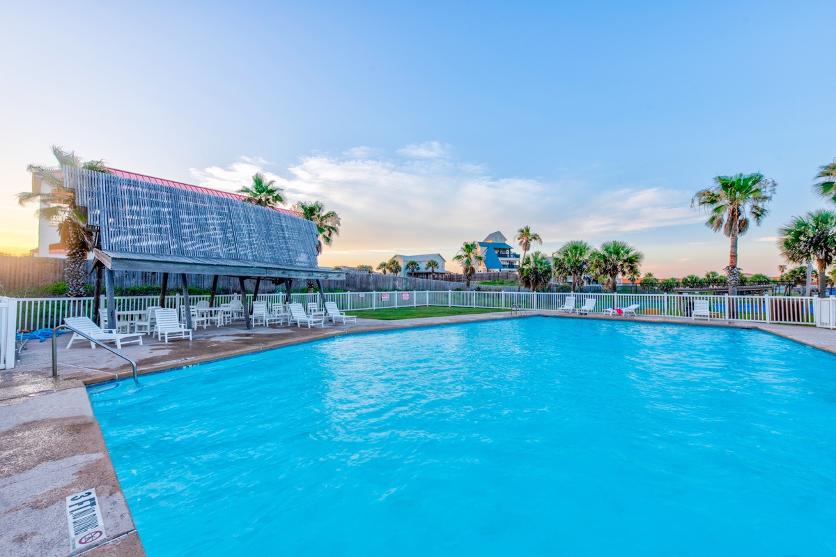 Dive into this sparkling pool surrounded by tropical palms and comfortable loungers for perfect vacation relaxation.