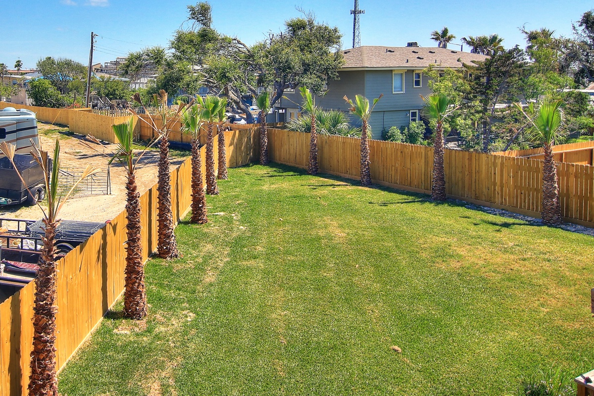 Your private backyard oasis features lush green lawn surrounded by tropical palms, perfect for morning coffee or evening relaxation.
