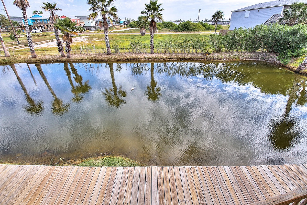 Peaceful canal views with palm tree reflections create a serene backdrop for your coastal getaway.