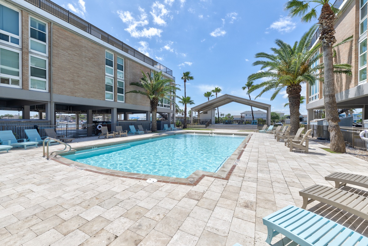 Dive into crystal-clear waters surrounded by swaying palms and comfortable loungers where you can soak up Florida sunshine all day long.