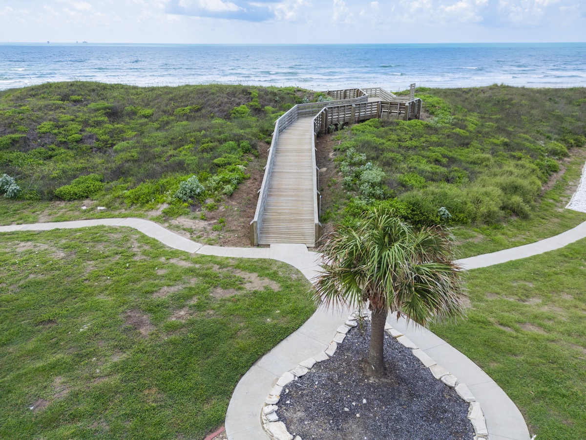 Elevated boardwalk winds through coastal dunes to pristine oceanfront, offering protected access to sandy beaches and scenic ocean views.