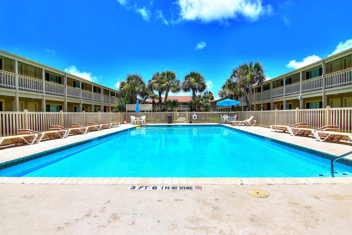 Sparkling pool surrounded by tropical palms creates the perfect spot for sunny afternoon relaxation.