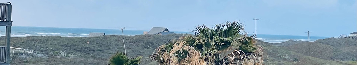 Coastal landscape with ocean views and natural vegetation surrounds this beachside property location.