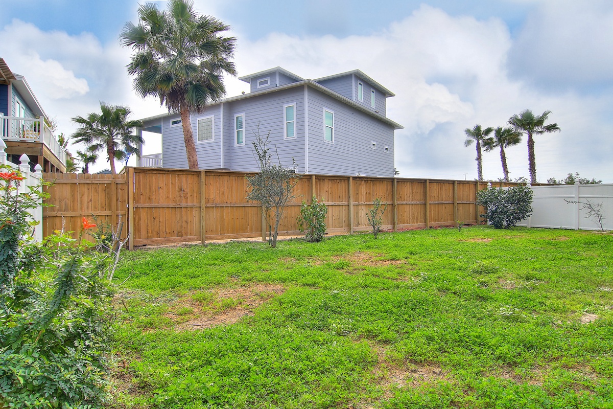 Modern coastal property featuring spacious fenced yard with tropical palm trees and established landscaping in residential neighborhood.