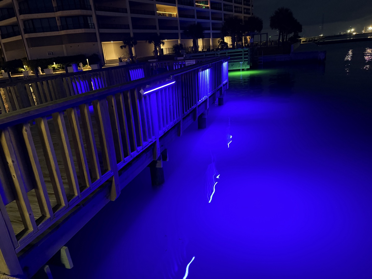 Night time fishing lights