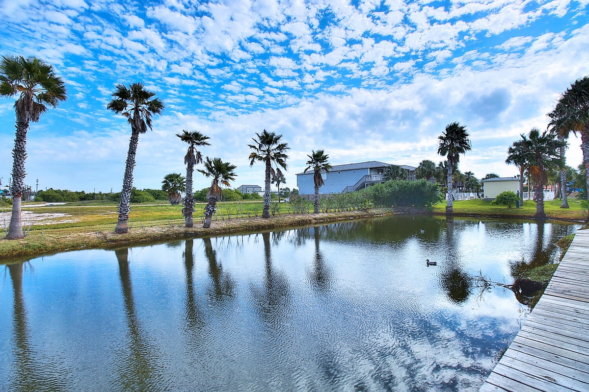 Peaceful lagoon with palm trees and walking boardwalk near the property grounds.